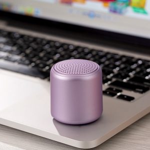 Mini Sound Pod Speaker